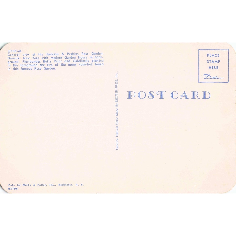 Newark New York NY Jackson & Perkins Rose Garden Chrome Postcard Dexter Press - Picture 2 of 2